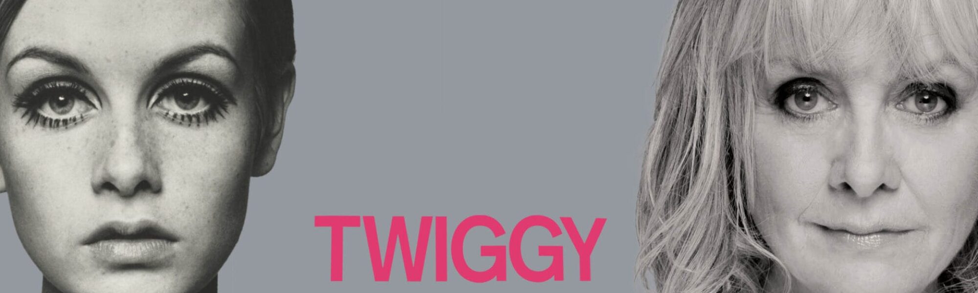 Twiggy hero image for website 150dpi logo (2)